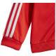 Adidas Βρεφικές φόρμες σετ Essentials Shiny Hooded Tracksuit